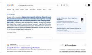 What Are Google AI Overviews?